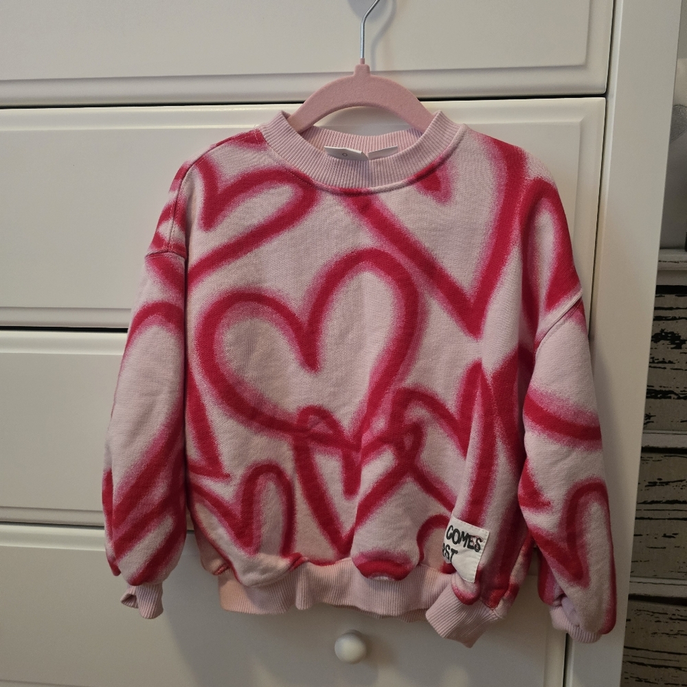Zara Pink and Red Patterned Sweatshirt 5T